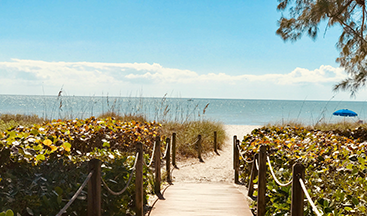 Florida Scholarships