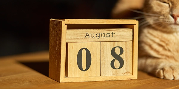 Deadline In August 2027